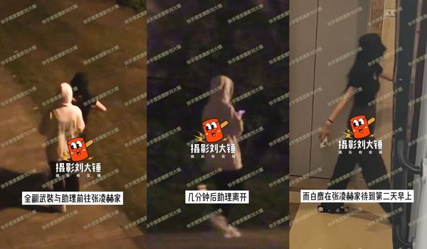 白鹿被拍到頻繁進出張凌赫家還過夜。翻攝攝影劉大錘微博