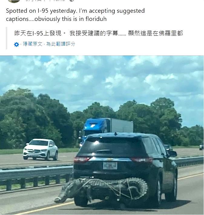 眼見巨大鱷魚被對折綁在車尾，讓Karen Kress驚呆了。翻攝自臉書