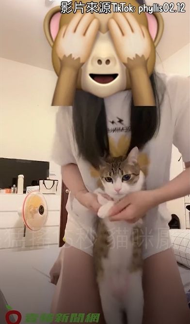 辣腿妹抱貓咪跳舞。