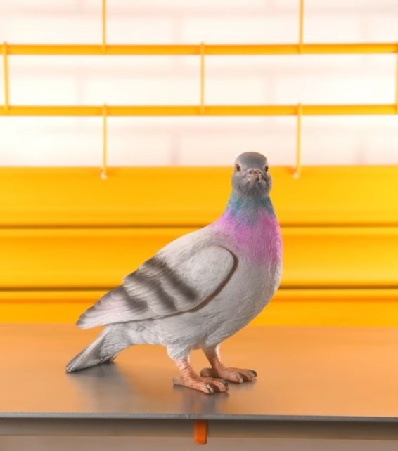 翻攝自IG jw_anderson