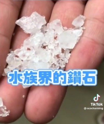水裡放這個是為了調節魚的滲透壓、降低細菌繁殖。