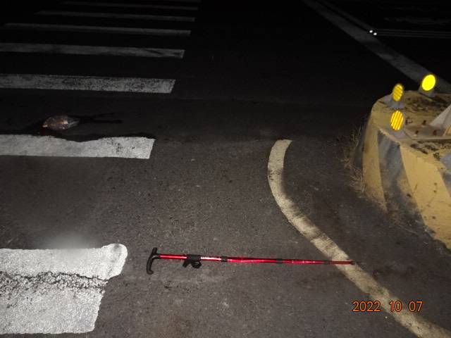 欲過馬路被撞的八旬老翁,現場遺下的手杖。民眾提供