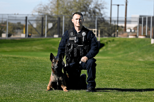 警犬奇洛隸屬亞利桑那州圖森警局,奇洛的訓練成績極為優異。翻攝Tucson Police K9 Facebook