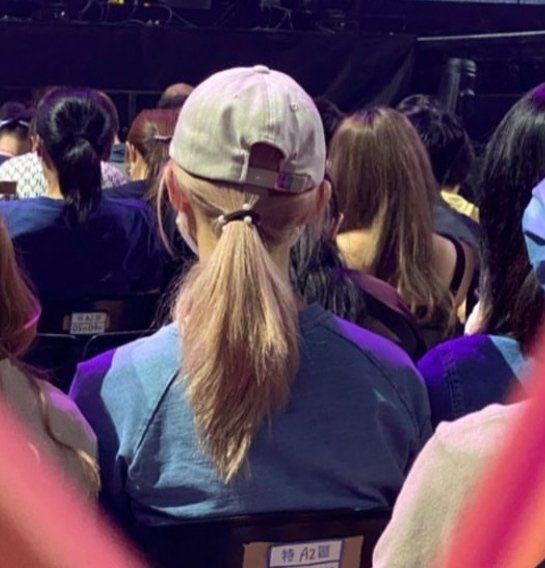 子瑜戴著口罩、帽子低調隱身在觀眾席。翻攝推特MIYABI_SaTzu