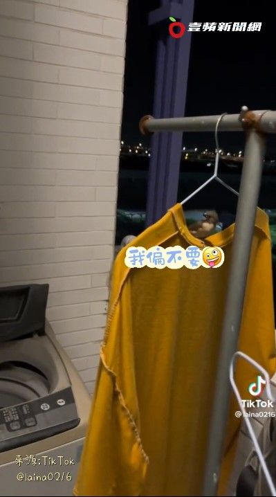 麻雀就站在衣架上怎樣都趕不走。