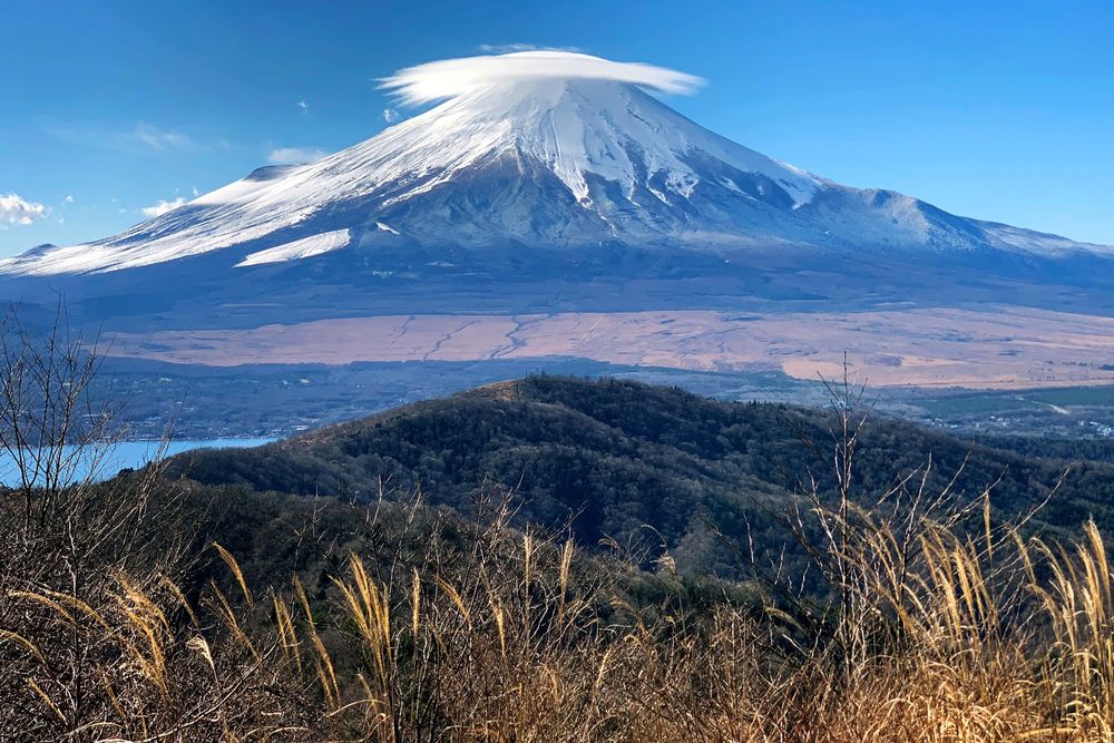 日本富士山附近觀光巴士翻車1死多傷 業者道歉駕駛翻車前喊 煞車失靈