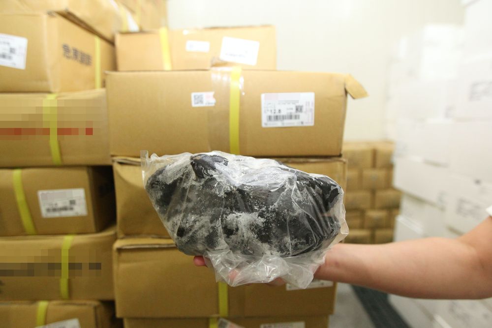 張姓業者目前冷凍庫存放的烏骨雞保存期限到2024年。張喆喜攝