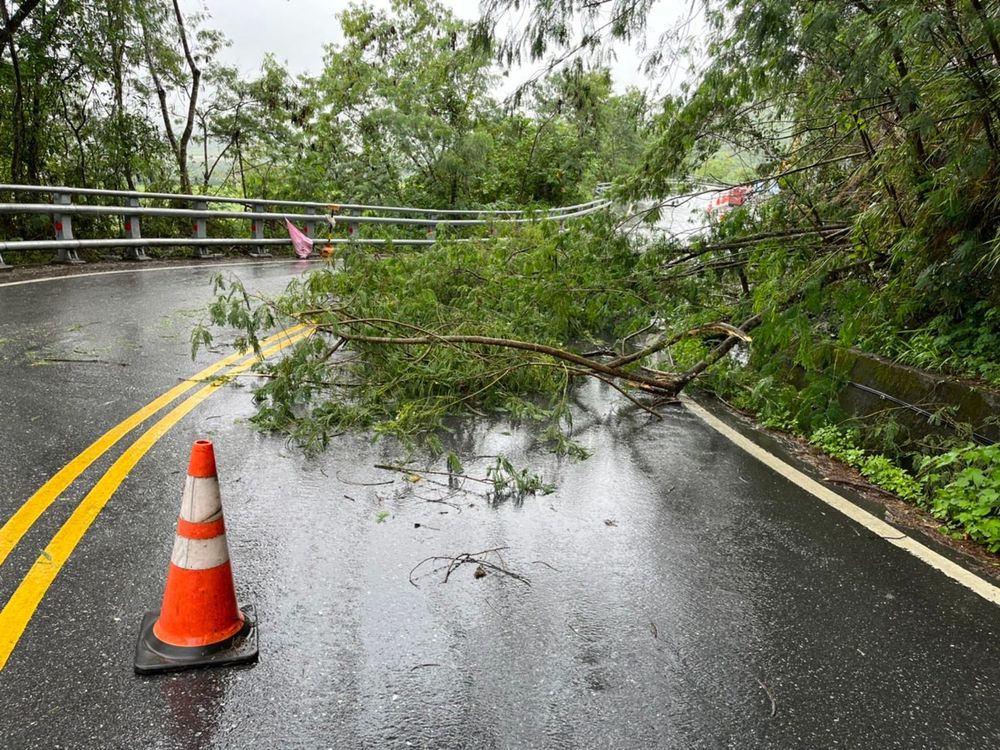 路树不敌豪雨坍塌。警方提供
