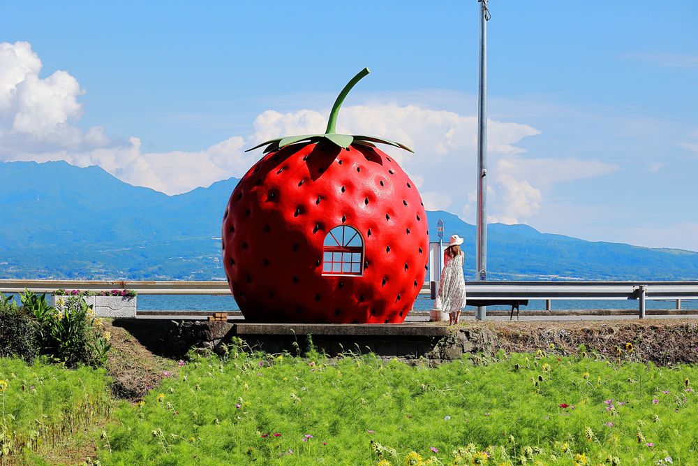 諫早市的國道207號沿線還有令人眼睛一亮的打卡景點「水果公車亭」。長崎縣觀光連盟提供