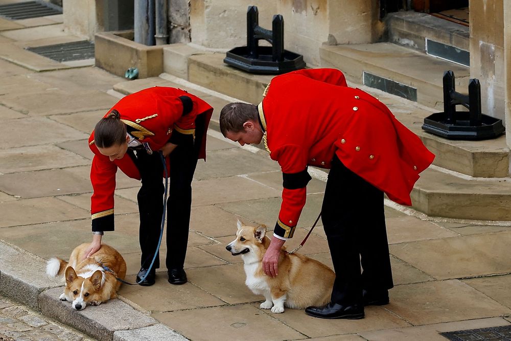 柯基犬送別女王。路透社