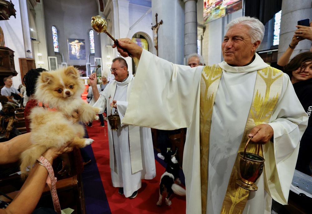 飼主帶心愛的寵物接受神父賜福。路透社