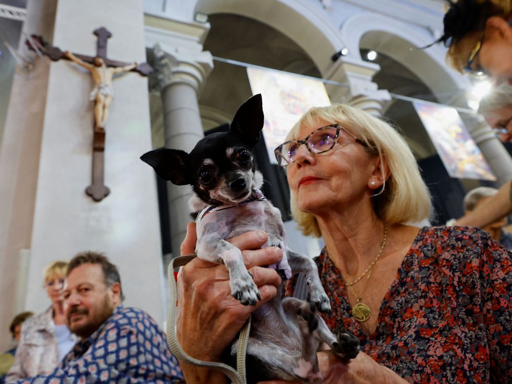 寵物不分品種、大小，均可接受祈福。路透社