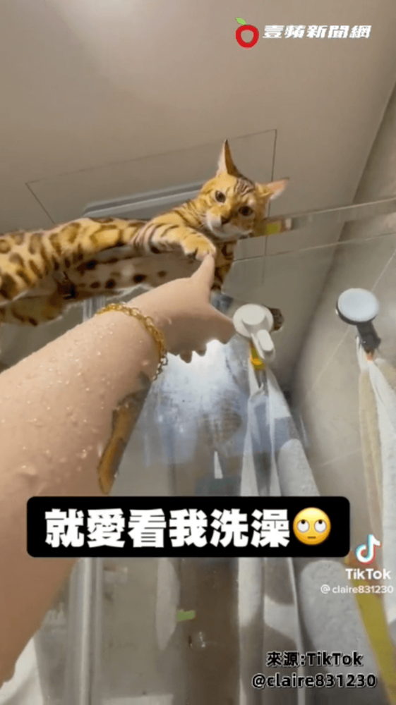 網友卻認真看玻璃倒影。