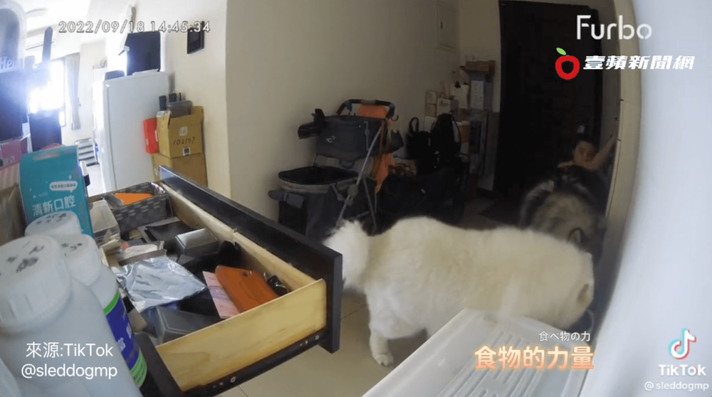 地震狂搖，飯不能不吃。