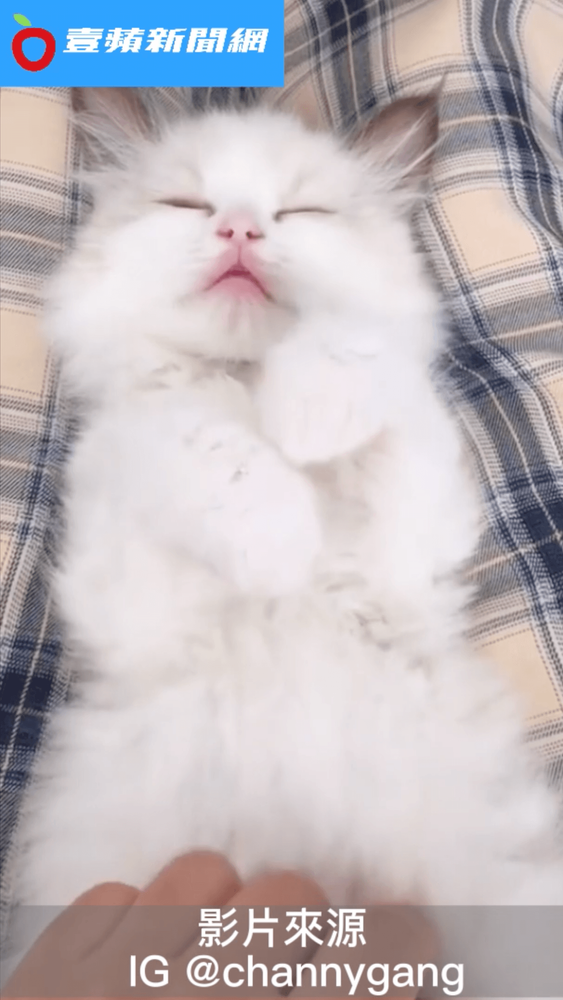 摸到睡著。