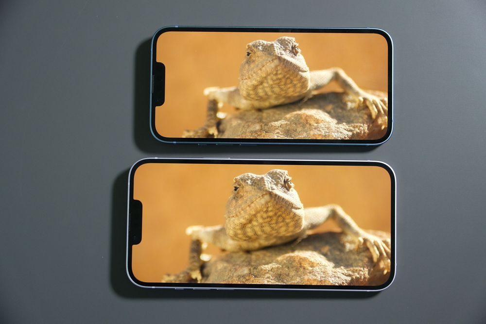 與iPhone 14螢幕顯示比較。陳志淵攝