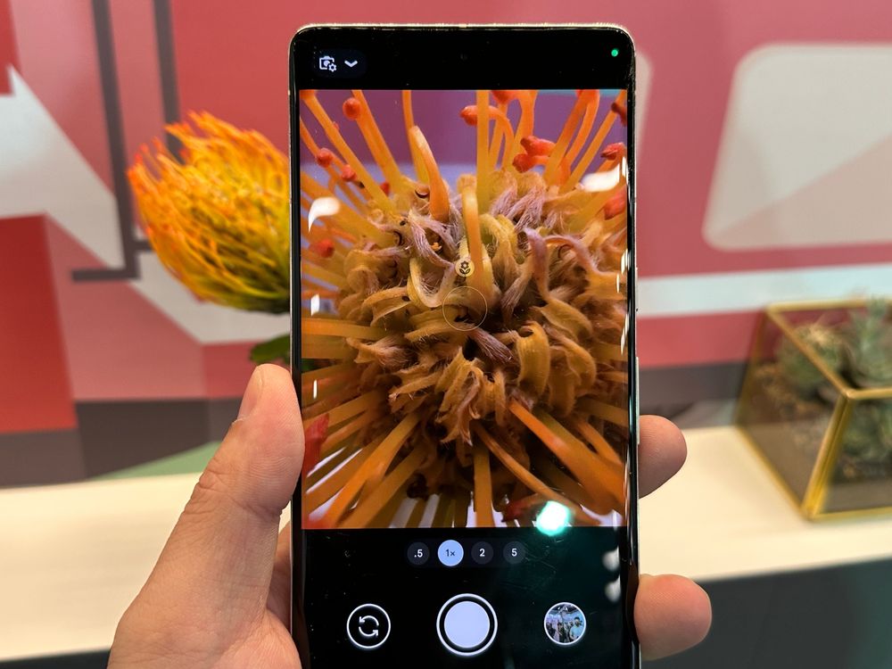 自動開啟微距拍攝。黃子倫攝