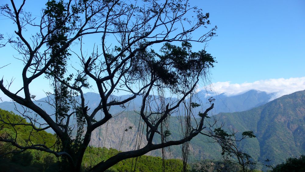 浸水營古道屬中級山岳，完登需8至9小時。資料畫面