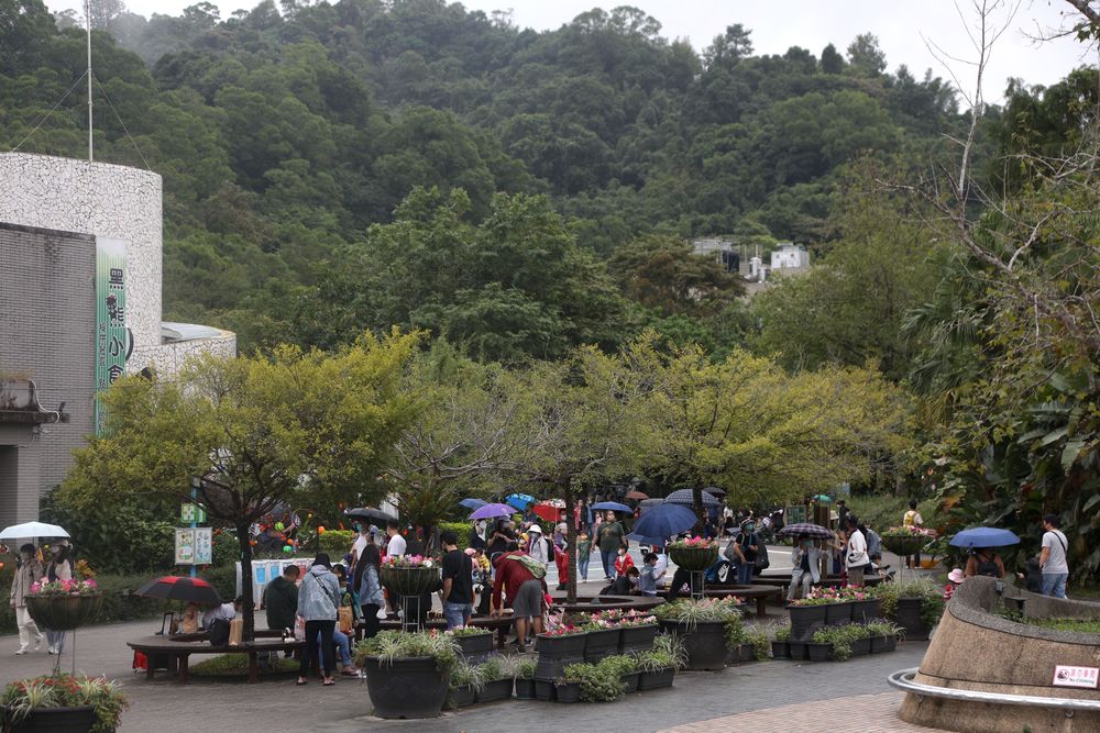 可愛的貓熊是民眾到動物園必訪動物之一。陳明中攝