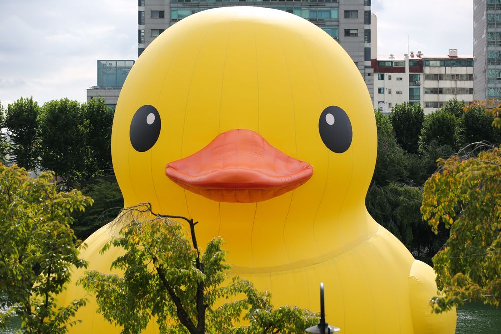 展出單位認為大黃鴨能療癒人心。新華社