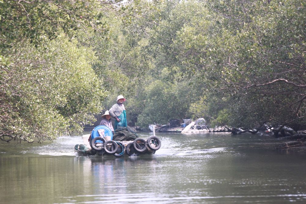 环湖驶入红笔仔生态区，别有一番自然风情，有时会碰到渔民作业。陈宏铭摄