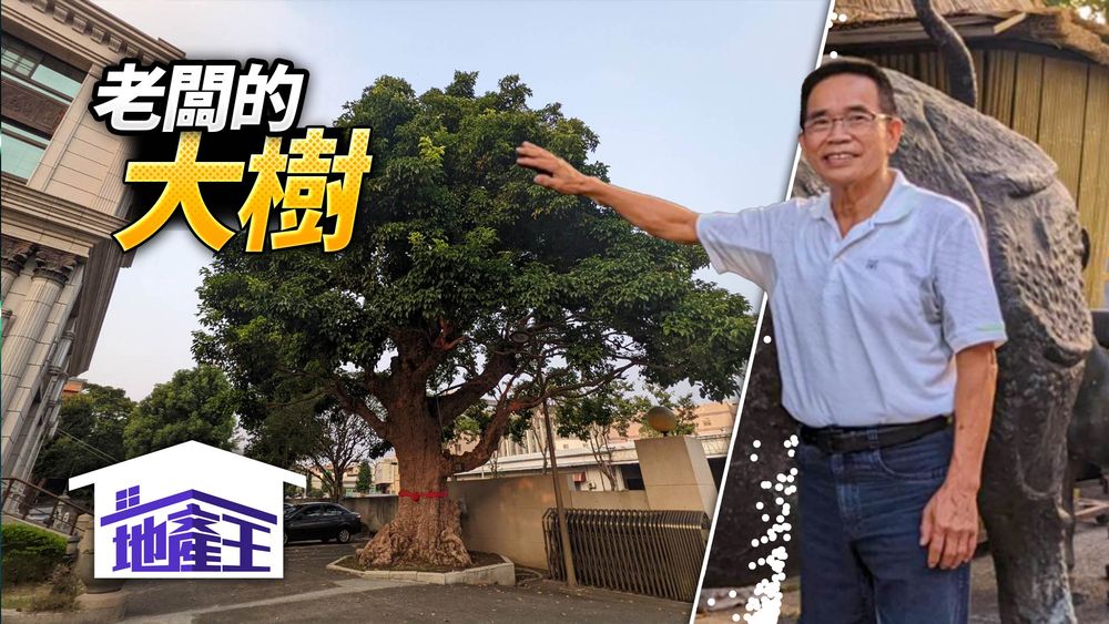 久樘集團創辦人收藏大樹超過30年，為業界知名。王鈞生攝