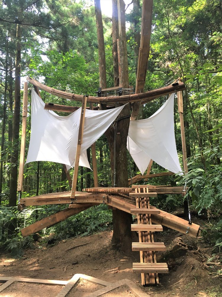 仿生精靈台灣紋白蝶將與森林木十人的「繫森」譜出樂章。新竹林區管理處提供