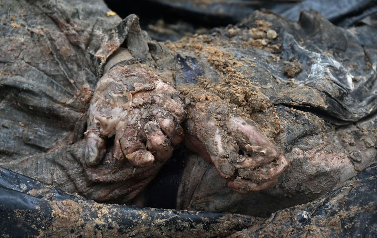 數具遺體的雙手被綁在身後。法新社