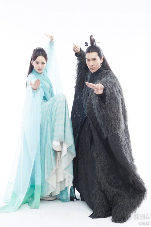 楊冪和趙又廷主演的《三生三世十里桃花》播出後頗受好評。翻攝楊冪微博