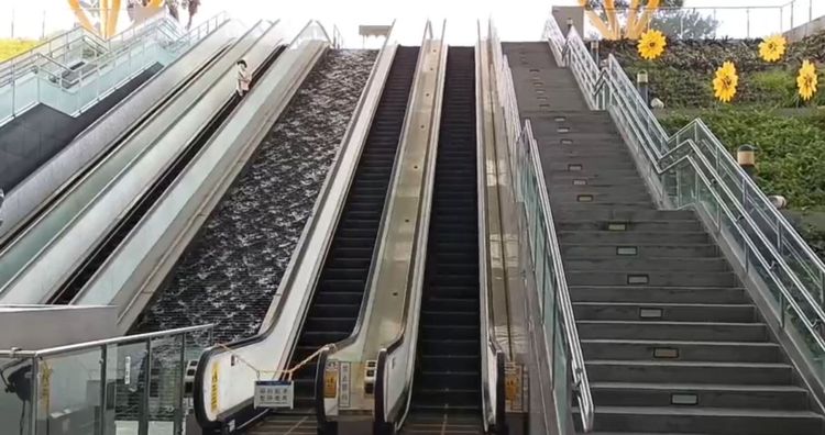 今早有位老先生搭高捷R9中央公園站手扶梯跌倒後摔，造成3旅客皮肉傷。 讀者提供