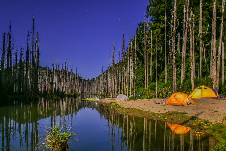 奧丁丁體驗跨年山林行程推薦－阿里山水漾森林野營。奧丁丁提供