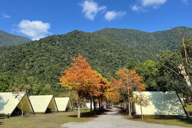 位於宜蘭南澳深山與清澈南溪旁的「那山那谷」擁有大片廣闊草原。奧丁丁提供