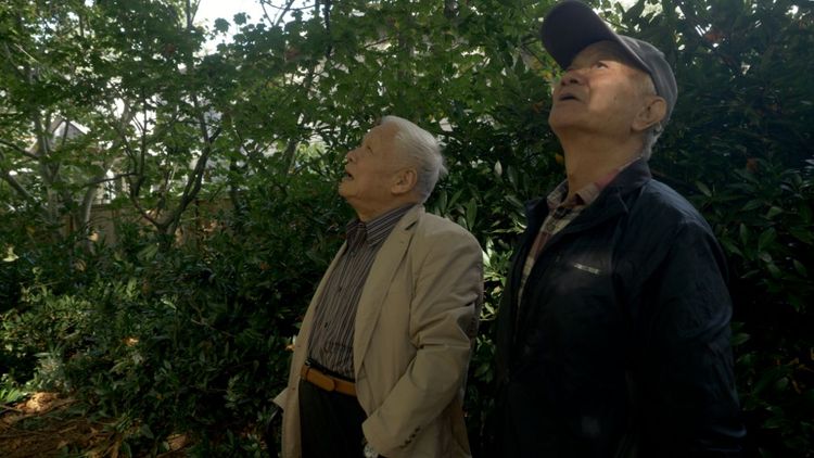 吳晟相當感謝「文壇伯樂」瘂弦當年的提拔與賞識。目宿媒體提供