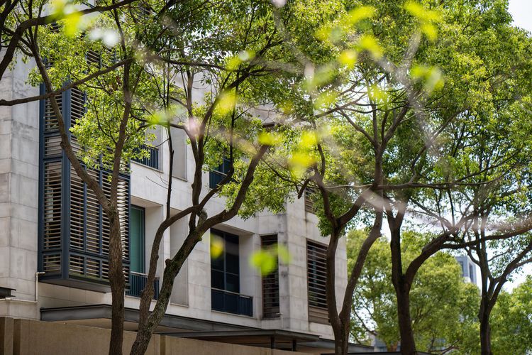 力璞學主打低密度綠意生活環境。業主提供