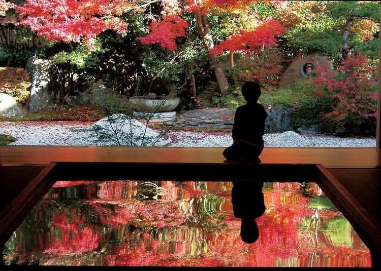 佐世保壽福寺的逆紅葉美景。長崎縣觀光連盟提供