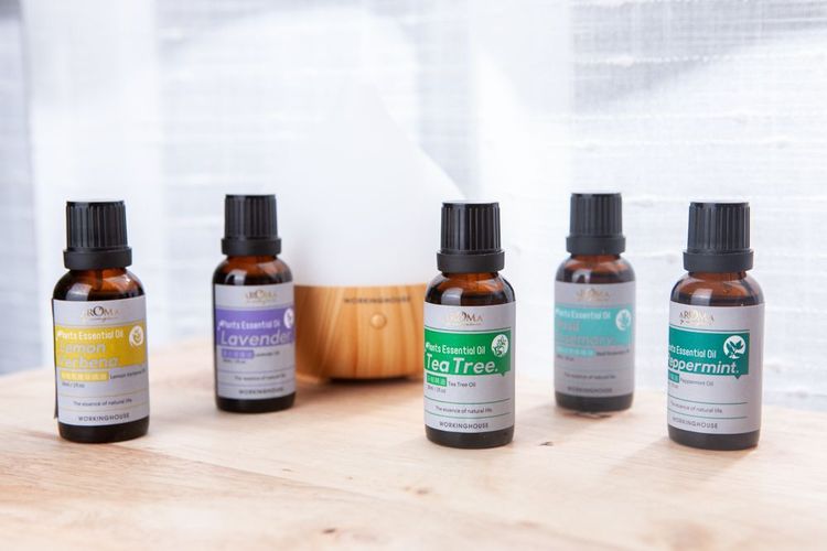 Plants茶樹精油系列30ml，原價990-1300元/瓶，特價第2件10元。業者提供