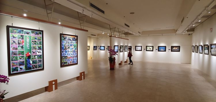 拍鳥俱樂部第七屆瞬影。永恆聯展，即日起在國立生活美學館展覽。拍鳥俱樂部提供