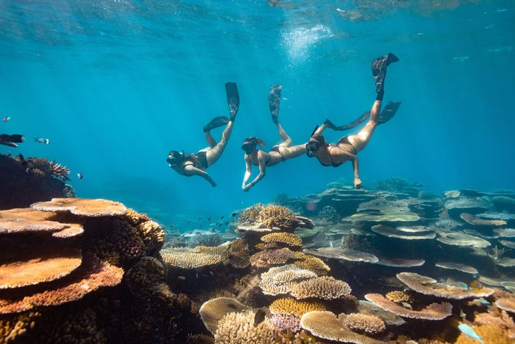 凱恩斯是昆士蘭州的潛水勝地。昆士蘭旅遊暨活動推廣局