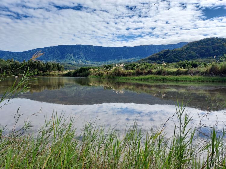 原富興濕地樣貌。林國欽提供