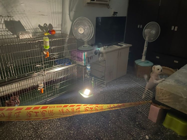 非法犬隻養殖場。翻攝新北動保處網站