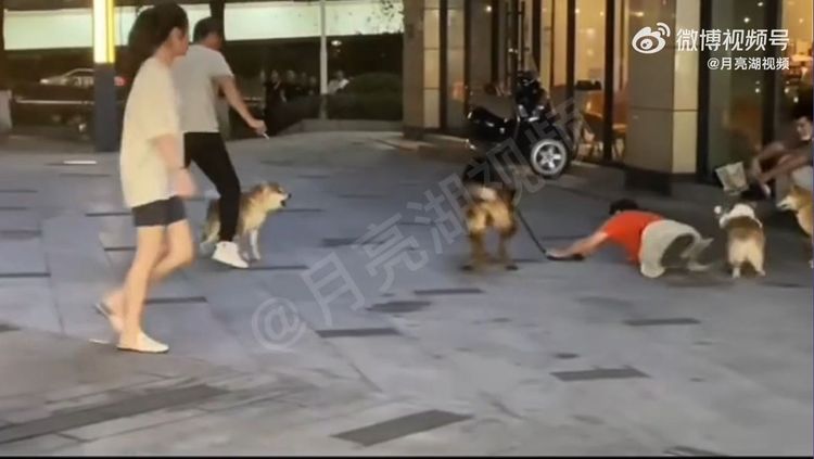 導致老伯摔倒在地。翻攝自月亮湖視頻