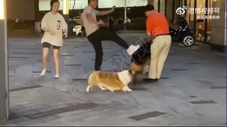 好不容易拉開後，年輕飼主勁猛踹狼狗洩憤。翻攝自月亮湖視頻