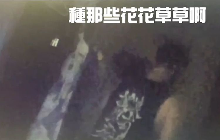 警上門時，顏男孩說朋友來拿花花草草。警方提供