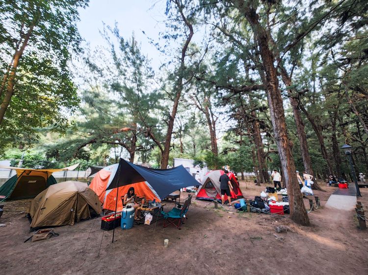 春浪結合時下最夯的露營，營造療癒感。田欣雲攝