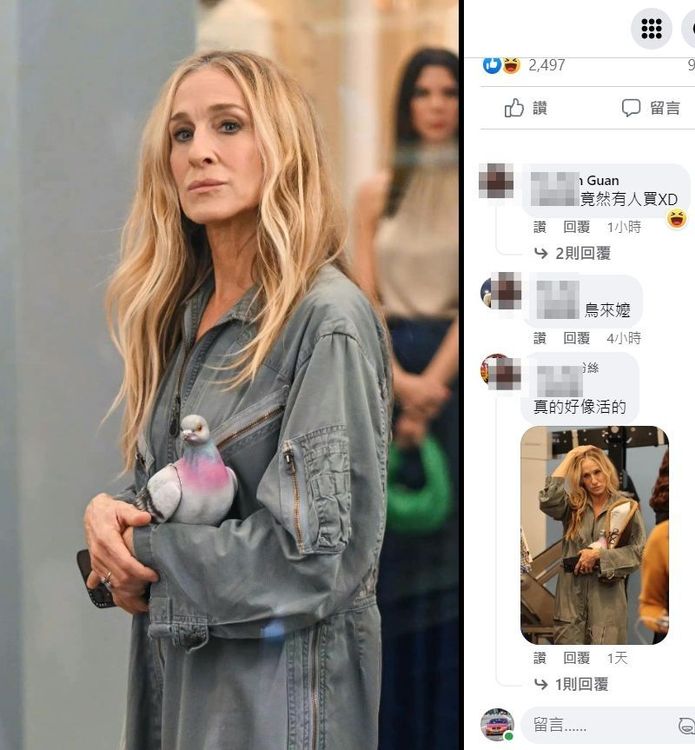 翻攝自臉書「Mr. 布雷蕭」