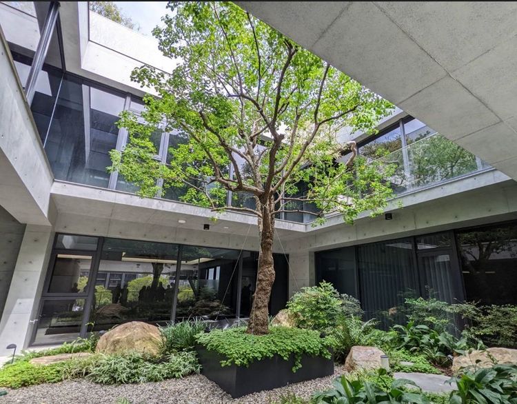 2樓中庭天井花園，同時引光入內。王鈞生攝