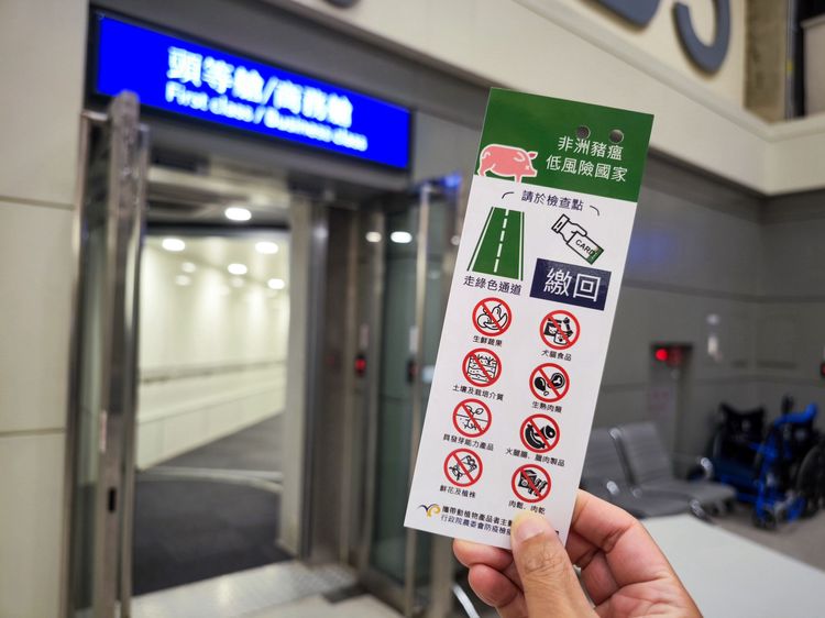 走出艙門進入航廈後，首先拿到的並非防疫指示，而是「非洲豬瘟低風險國家」證明卡。田欣雲攝