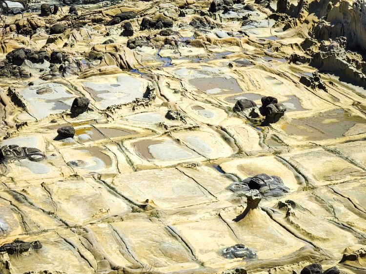 「千疊敷」指的是海蝕平台上分布的豆腐岩區。田欣雲攝