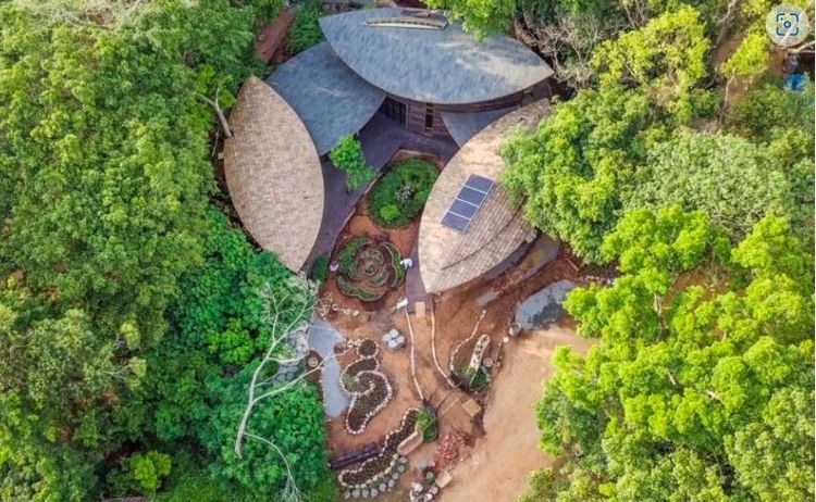 吳書原創立的「太研設計」，也是 2018台中花博后里園區的景觀規劃者，主張野放的自然。示意畫面、台中市府提供