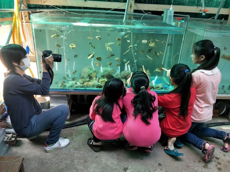 小朋友了解各種魚類知識。塭豐社區發展協會